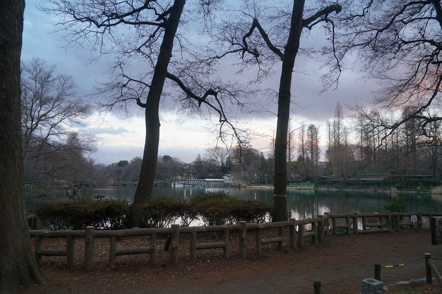 味のある遊歩道