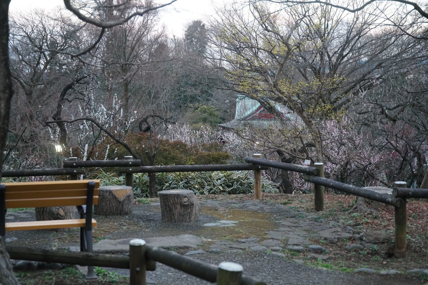 公園を一望するベンチ